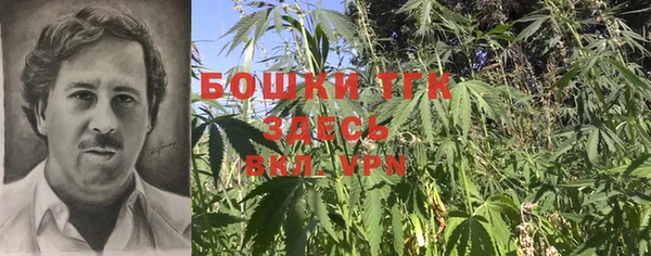 СК Арсеньев
