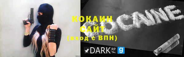 ешки Аркадак