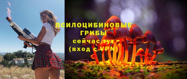 Альфа ПВП Армянск